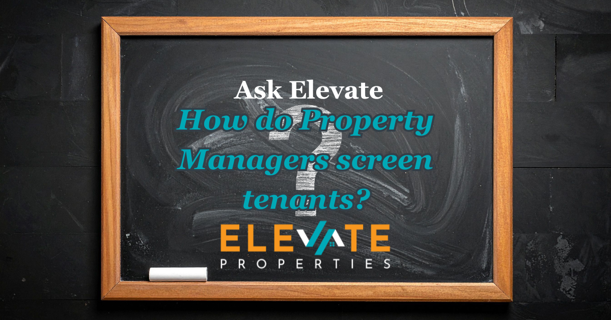 How Do Property Managers Screen Tenants?